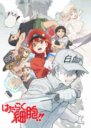 Anime Hataraku Saibo - Sinopse, Trailers, Curiosidades e muito mais -  Cinema10