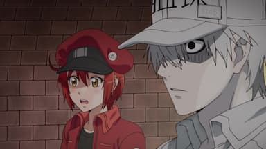 Arquivos Cells at Work! (Hataraku Saibou) - IntoxiAnime