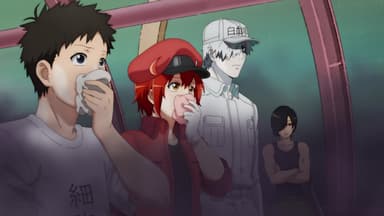 Cells at Work! 2 terminou com 8 episódios